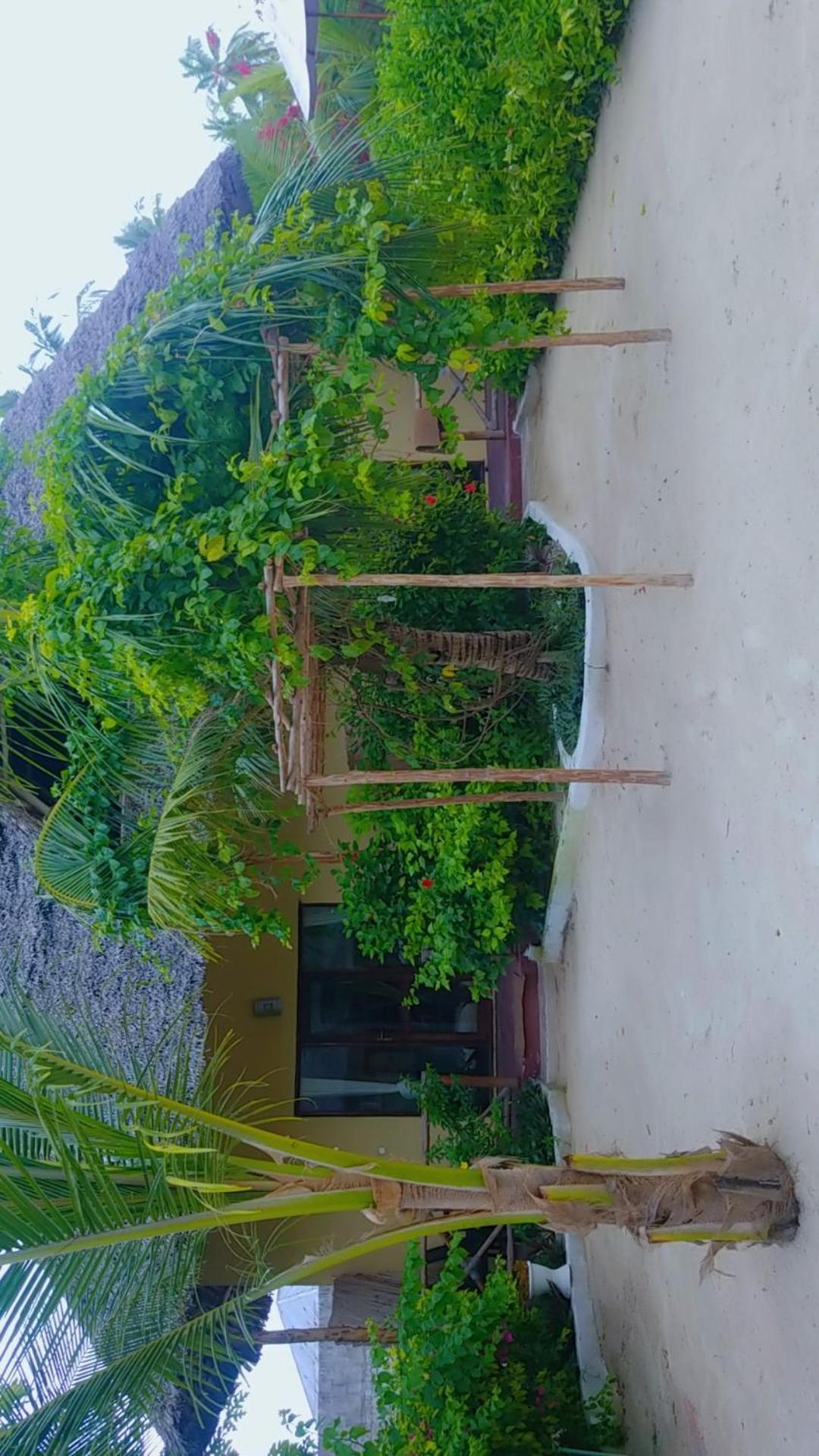 Amber Lodge Pongwe Luaran gambar